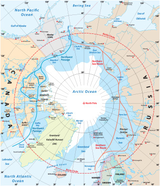 artic